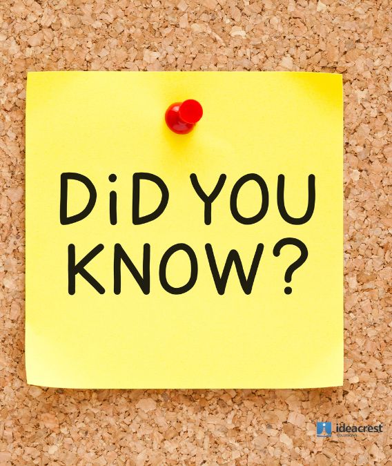 Fact Checker MicroLearning Material